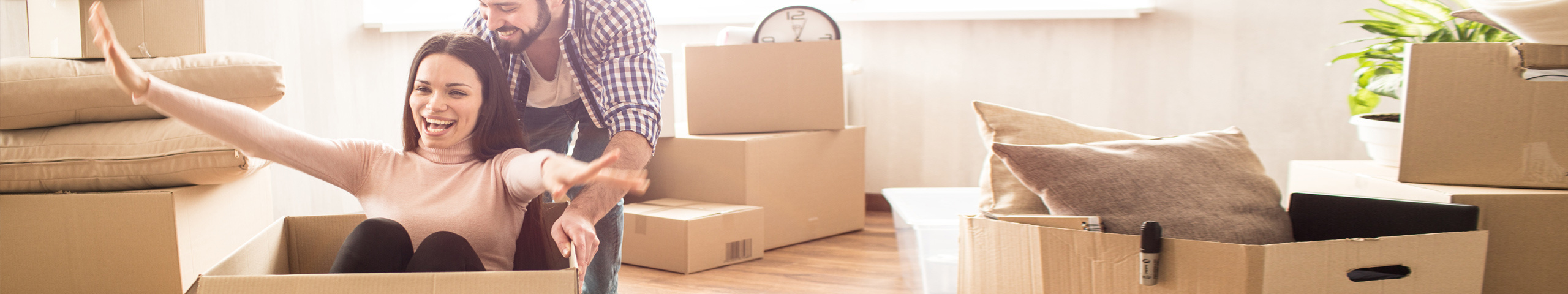 Myterra GmbH & Co. KG